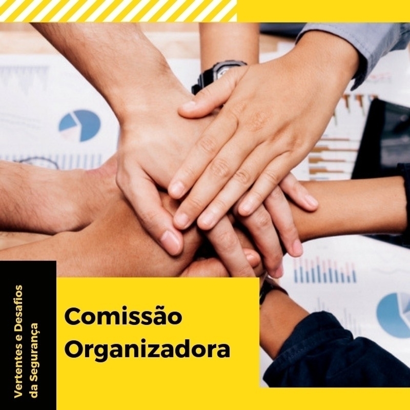 Comissão Organizadora - 12º VDS